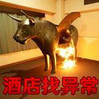找到异常之处